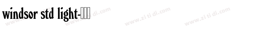 windsor std light字体转换